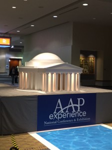 2015 AAP Experience